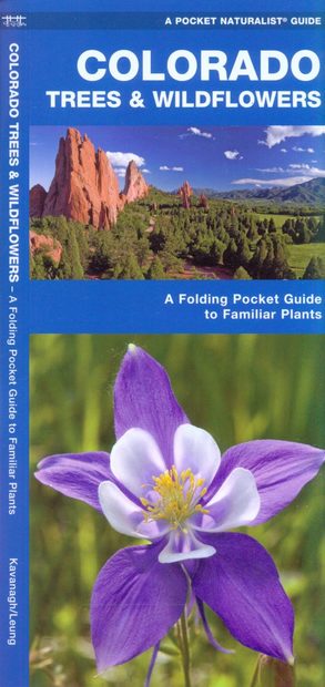 Colorado Trees & Wildflowers