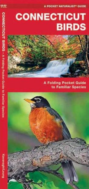 Connecticut Birds