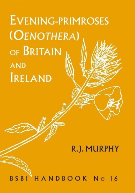 Evening-Primroses (Oenothera) of Britain and Ireland