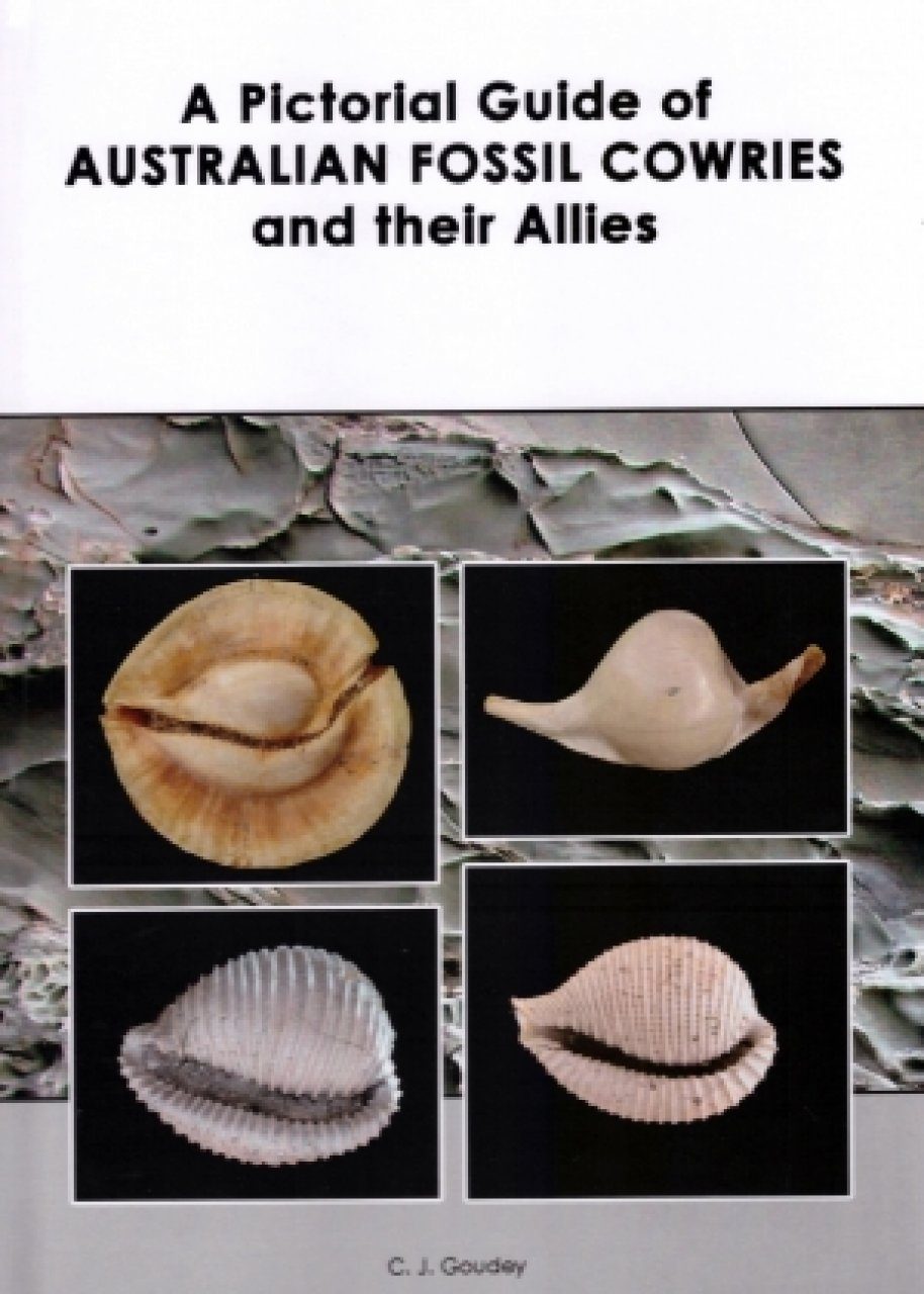 A Pictorial Guide Of Australian Fossil Cowries And Their