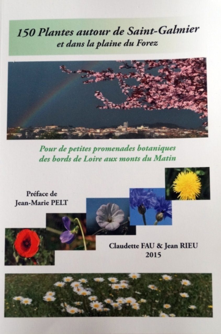 <a href="/node/2542">150 plantes autour de Saint-Galmier et dans la plaine du Forez</a>