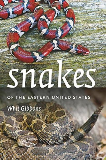 Snakes of the Eastern United States