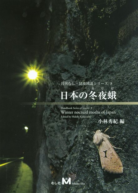Winter Noctuid Moths of Japan [Japanese]