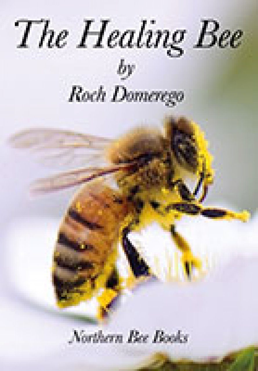 The Healing Bee | NHBS Academic & Professional Books