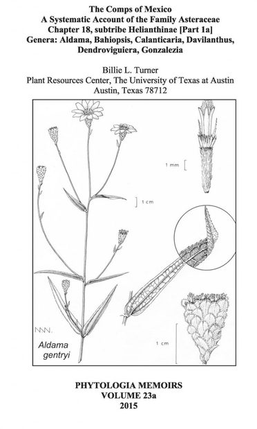 The Comps of Mexico: A Systematic Account of the Family Asteraceae, Chapter 18