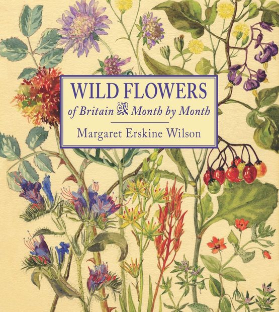 Wild Flowers of Britain