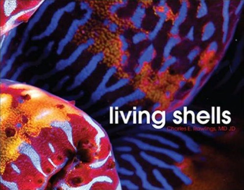 Living Shells
