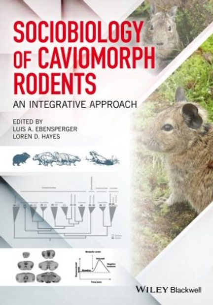 Sociobiology of Caviomorph Rodents