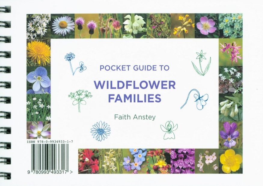 Pocket Guide to Wildflower Families