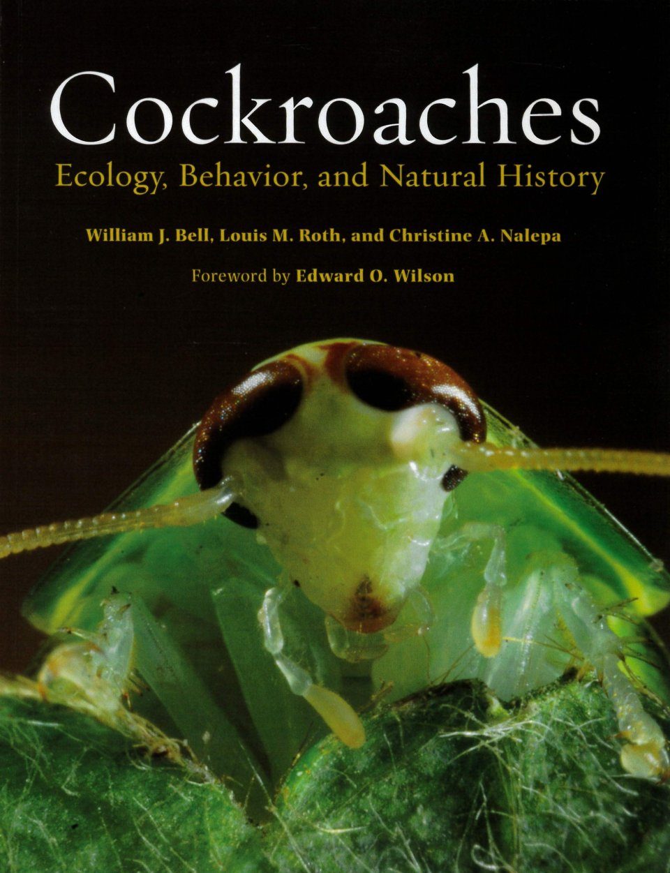 (pdf) Cockroaches : Ecology, Behavior, And Natural History