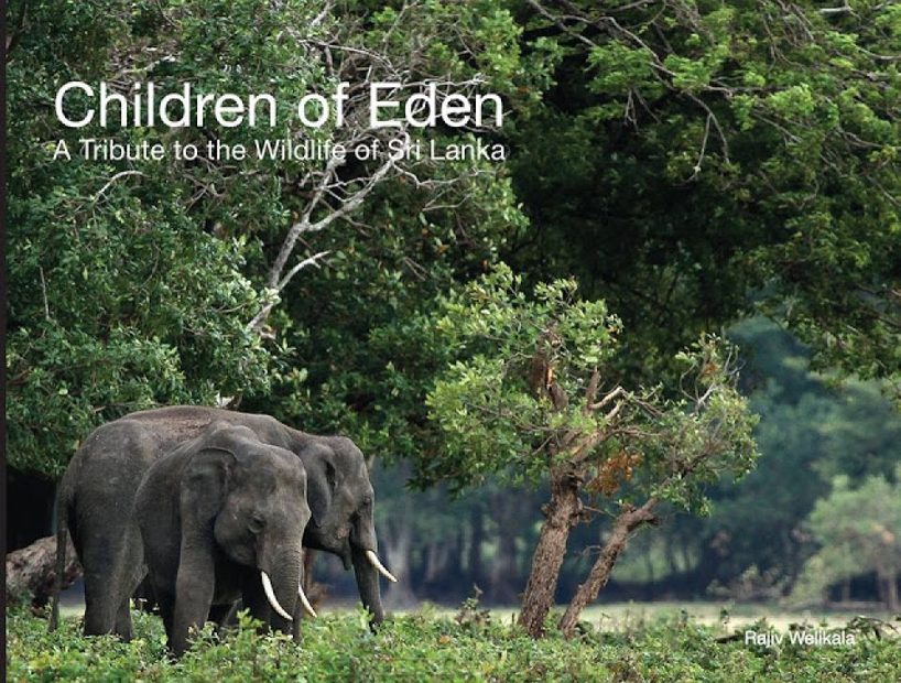 Children of Eden