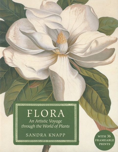 Flora