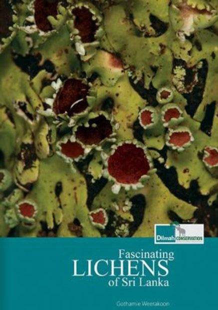 Fascinating Lichens of Sri Lanka