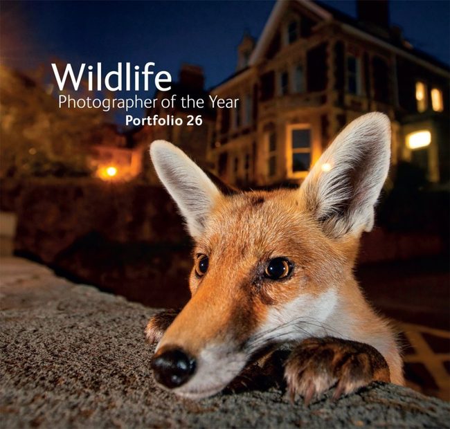 Wildlife Photographer of the Year, Portfolio 26
