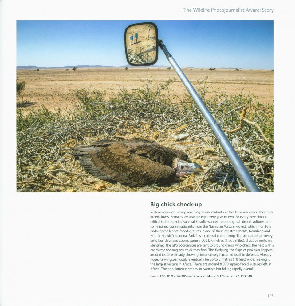 Portfolio 26 Volume 26 Wildlife Photographer of the Year 