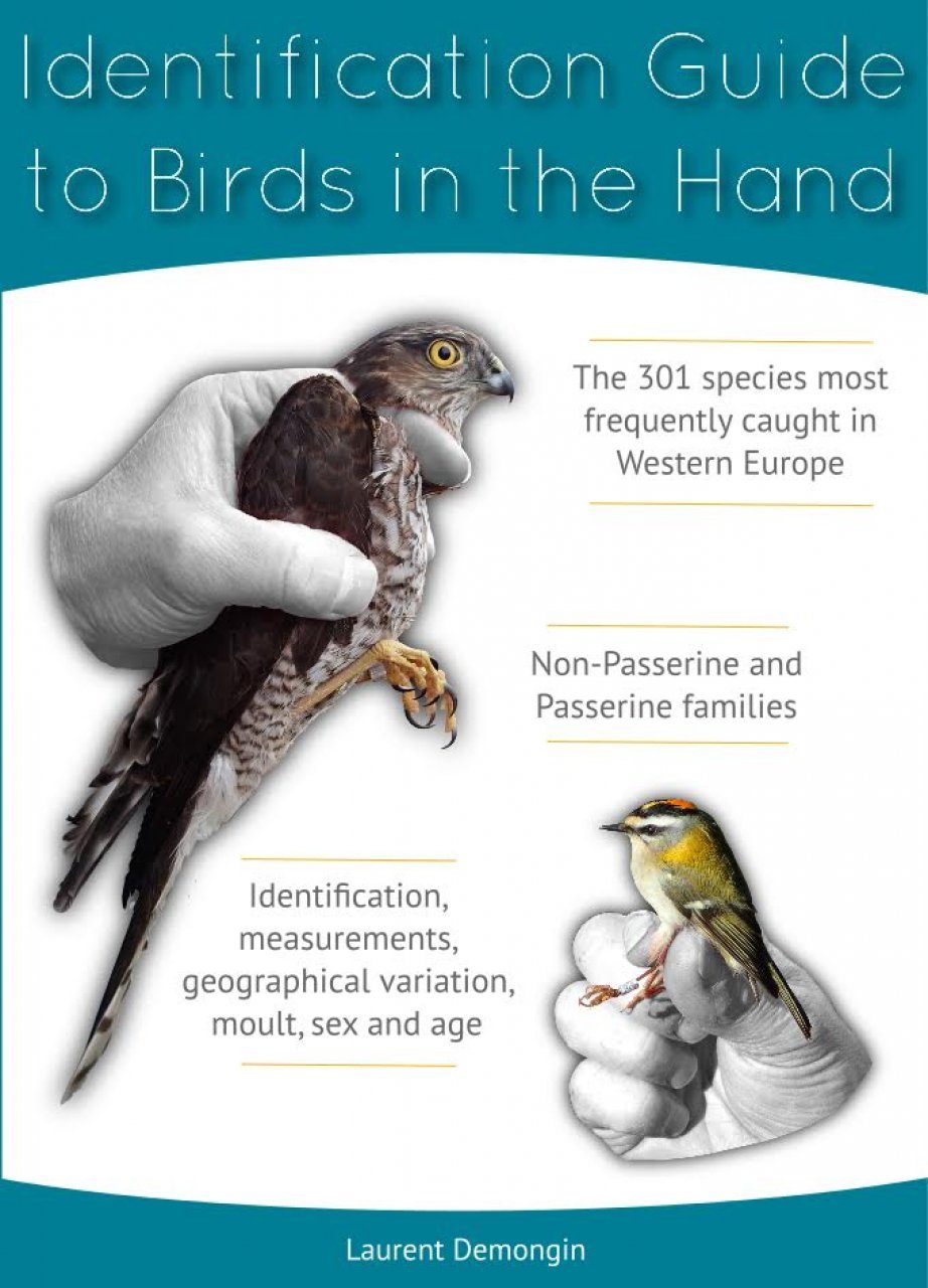Identification Guide To Birds In The Hand Nhbs Academic