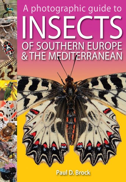 A Photographic Guide to Insects of Southern Europe & the Mediterranean