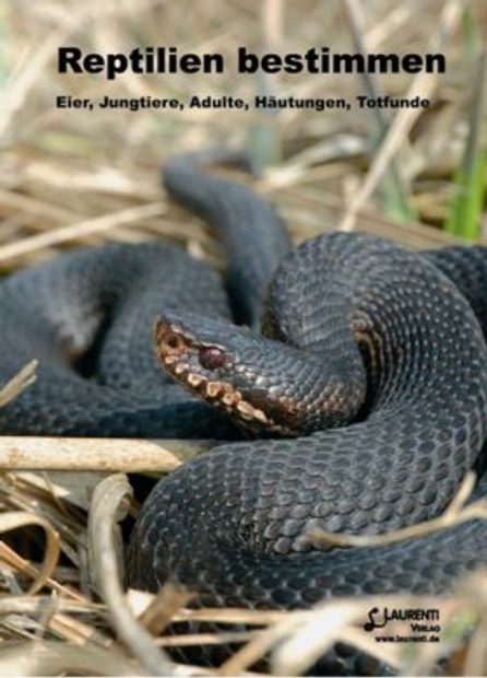 Reptilien Bestimmen: Eier, Jungtiere, Adulte, Häutungen, Totfunde [Identifying Reptiles: Eggs, Juveniles, Adults, Molts, and Carcasses]