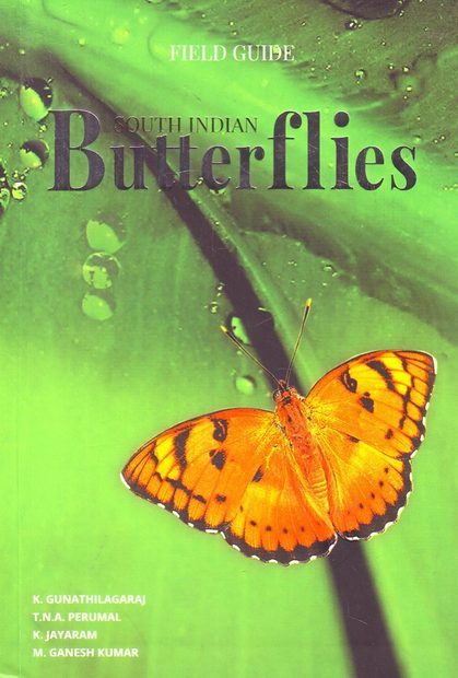 South Indian Butterflies