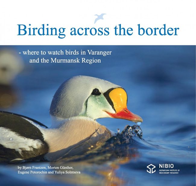 Birding Across the Border