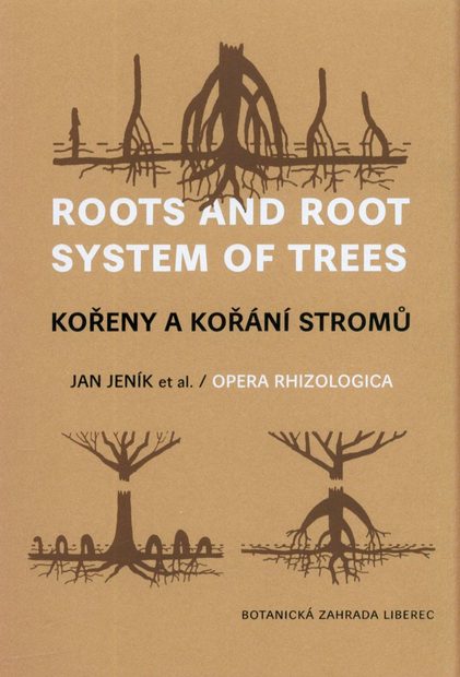 Roots and Root System of Trees / Kořeny a Kořání Stromů