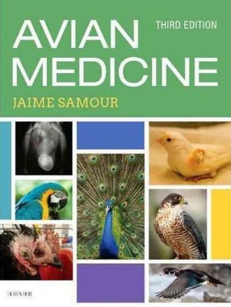 Avian Medicine