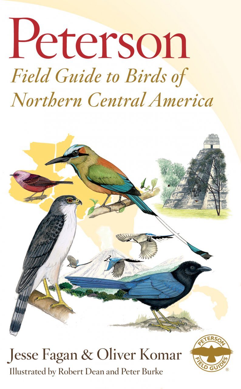 Peterson First Guide to Birds of North America