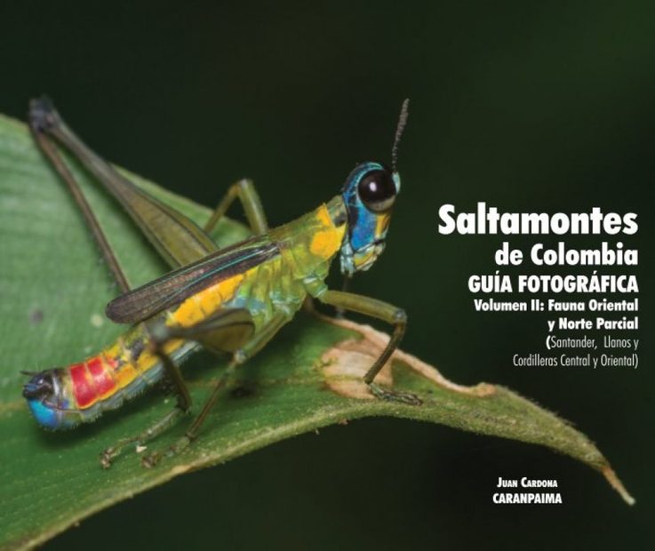 Saltamontes de Colombia - Guía Fotográfica, Volumen 2: Fauna Oriental y Norte Parcial (Santander, Llanos y Cordilleras Central y Oriental) [Grasshoppers of Northwest South America - A Photo Guide, Volume 2: The Eastern Fauna (The Eastern Cordillera and 