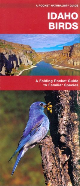 Idaho Birds