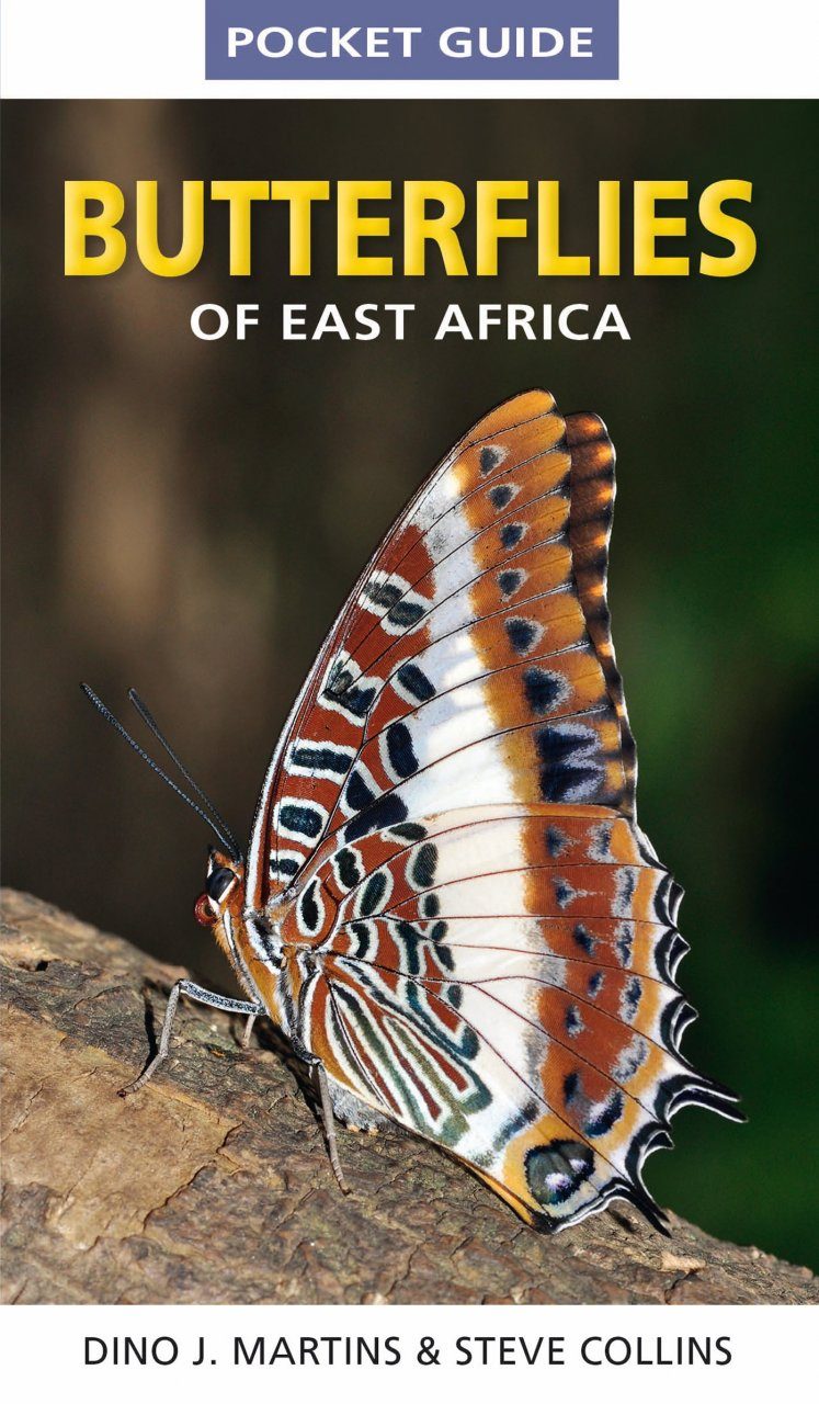 Struik Pocket Guide Butterflies Of East Africa Dino J