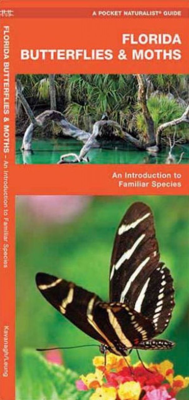 Florida Butterflies & Moths A Folding Pocket Guide to Familiar Species NHBS Field Guides