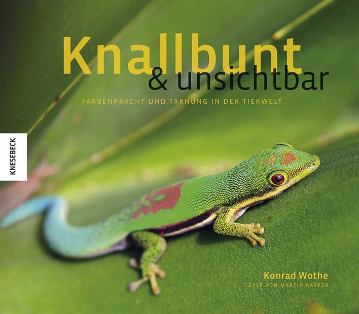Knallbunt & Unsichtbar: Farbenpracht und Tarnung in der Tierwelt [Colourful and Invisible: Colours and Camouflage in the Animal World]