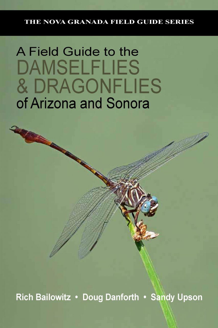 A Field Guide To The Damselflies Amp Dragonflies Of Arizona
