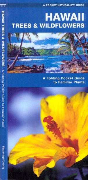 Hawaii Trees & Wildflowers