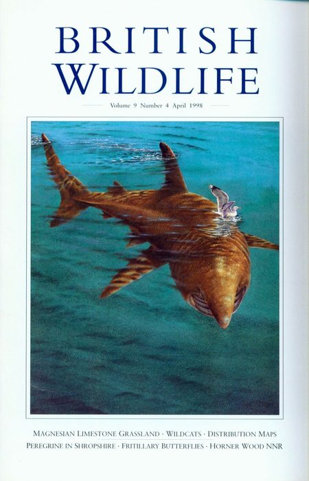 British Wildlife 09.4 April 1998
