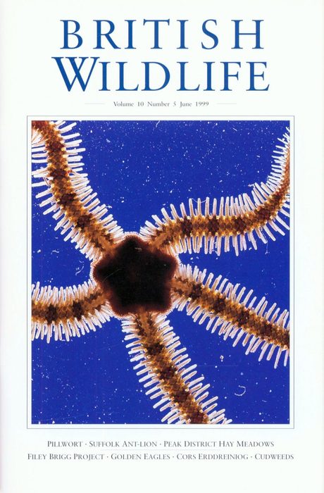British Wildlife 10.5 June 1999