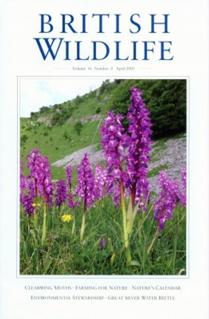 British Wildlife 16.4 April 2005