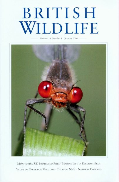 British Wildlife 18.1 October 2006