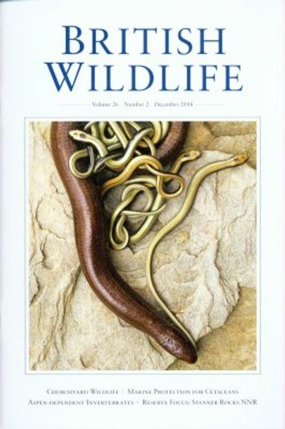 British Wildlife 26.2 December 2014