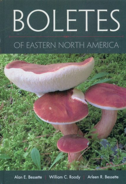 Boletes of Eastern North America