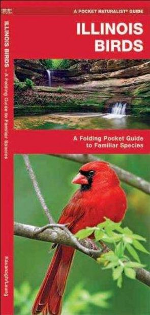 Illinois Birds