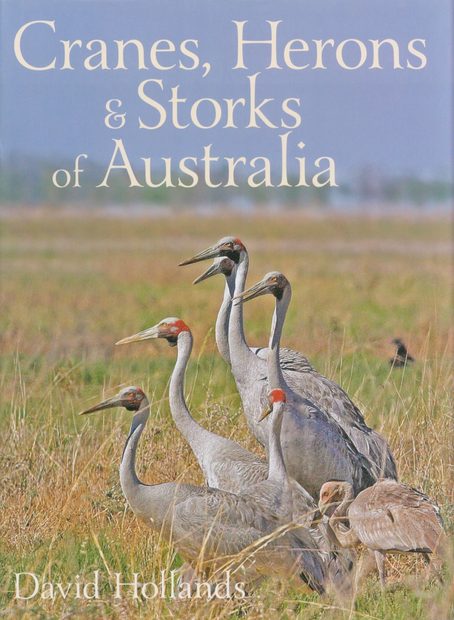 Cranes, Herons & Storks of Australia
