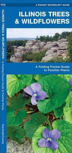 Illinois Trees & Wildflowers