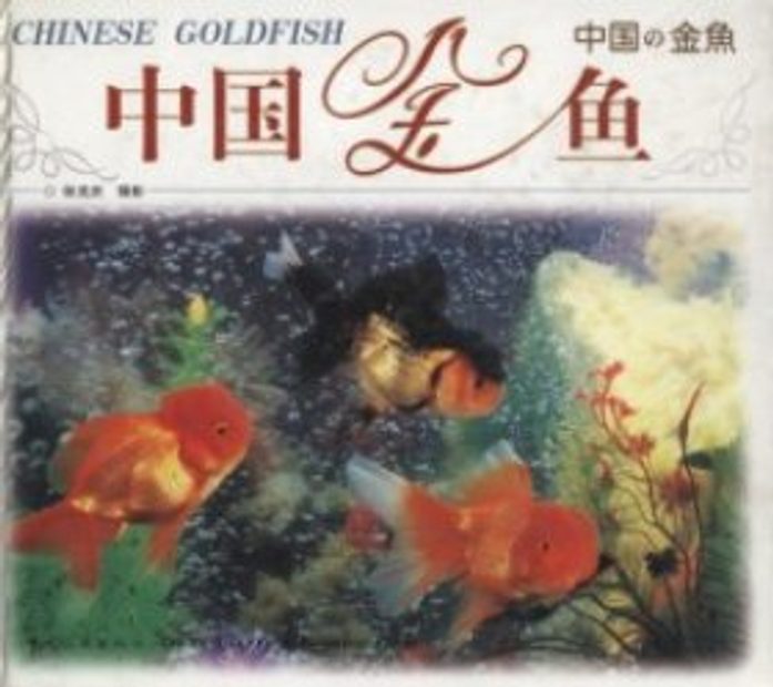 Chinese Goldfish [English / Chinese / Japanese]