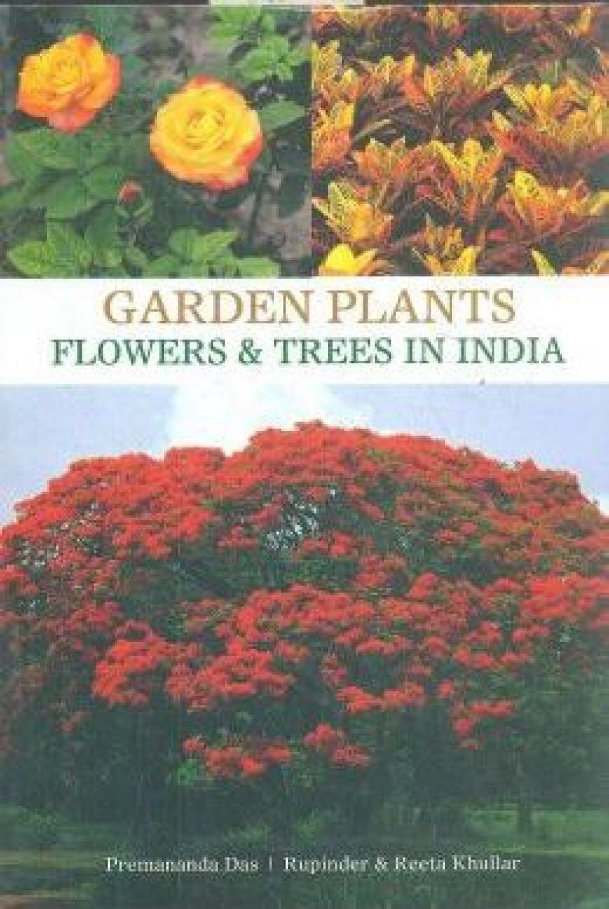 garden plants: flowers & trees in india