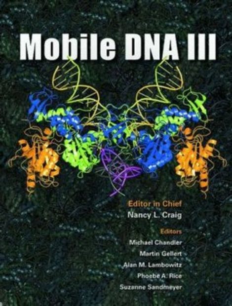 Mobile DNA III