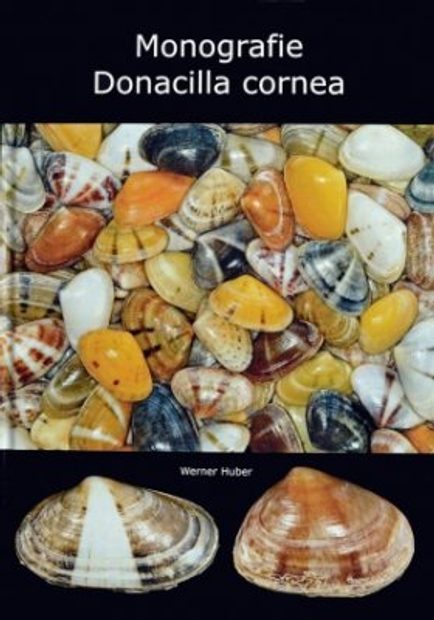 Monografie Donacilla cornea [German]