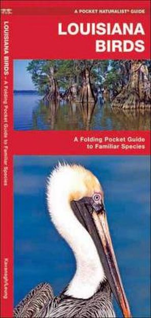 Louisiana Birds