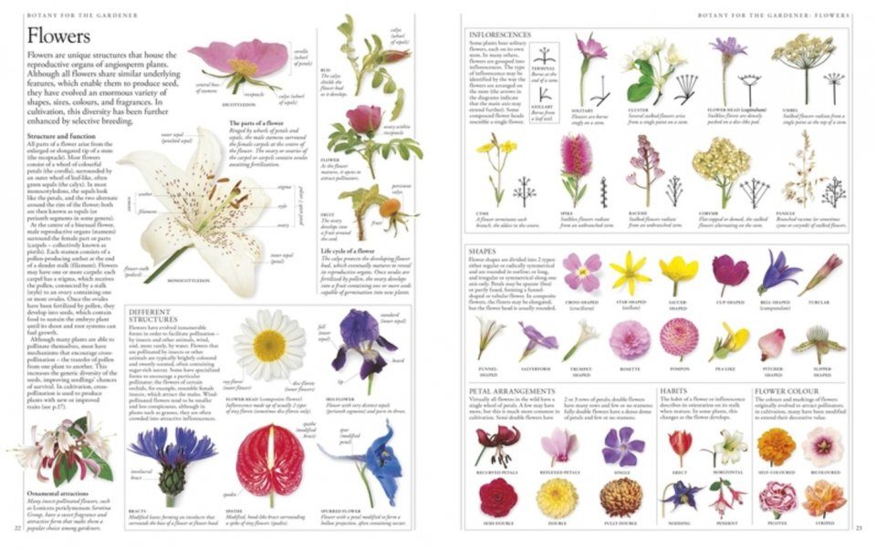 RHS Gardeners Encyclopedia of Plants & Flowers 