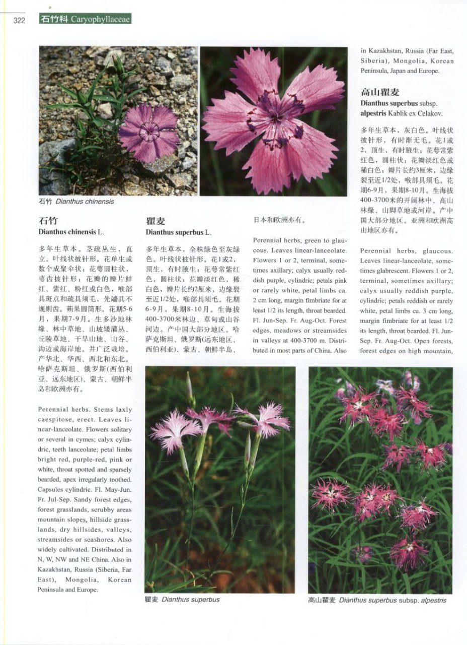 Higher Plants of China in Colour, Volume 3: Angiosperms: Casuarinaceae –  Hernandiaceae [English / Chinese] | NHBS Academic  Professional Books
